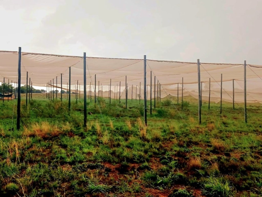 3 Bedroom Property for Sale in Bloemfontein Rural Free State